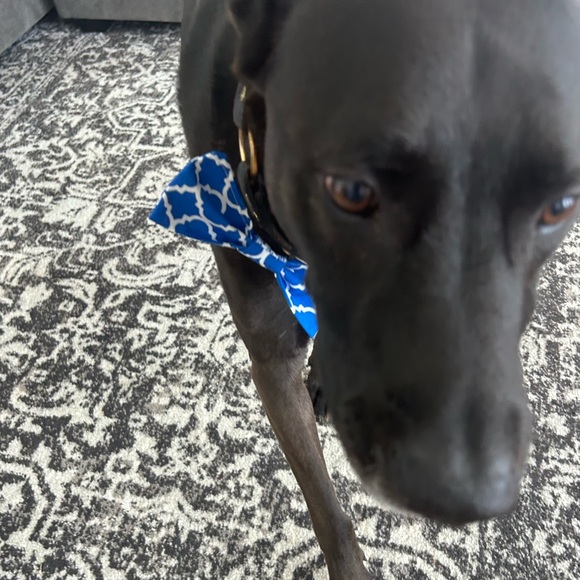 Follow Game! Return for new likes - Picture 4 of 5